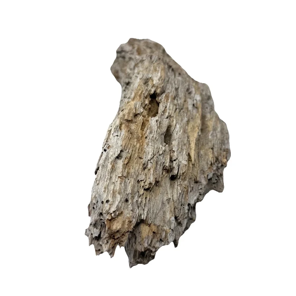 Curved Weathered Driftwood Slab with Deep Texture – Organic Natural Wood Decor